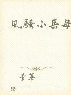 风骚小岳母