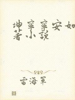 坤宁宁安如梦原著小说封面