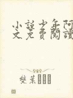 小说少年阿斌全文免费阅读封面