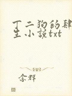 丁二狗的肆意人生小说txt封面