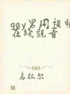 gay男同视频在线观看封面
