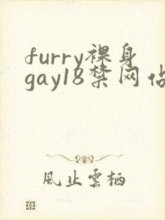 furry裸身gay18禁网站8