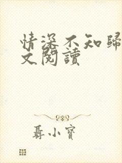 情深不知归处全文阅读