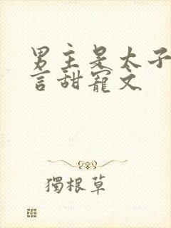 男主是太子的古言甜宠文