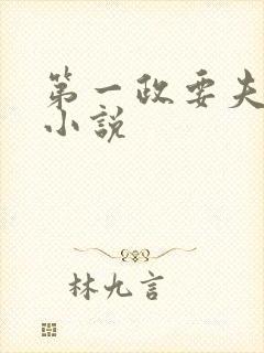 第一政要夫人 小说