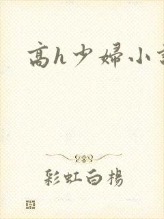 高h少妇小说