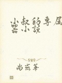 小叔的专属榨精器小说