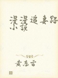 漫漫追妻路在线小说