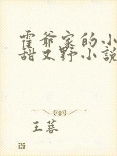 霍爷家的小祖宗甜又野小说