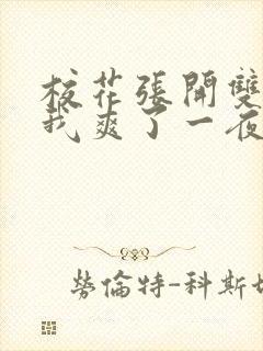 校花张开双腿让我爽了一夜封面