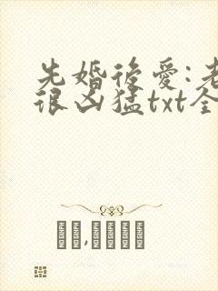 先婚后爱:老公很凶猛txt全文免费下载