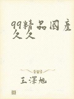 99精品国产久久久封面