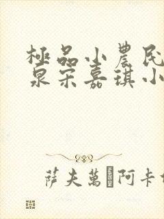 极品小农民叶庆泉宋嘉琪小说