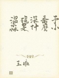 温砚深乔予安静淼是什么小说