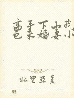 高手下山我的绝色未婚妻小说