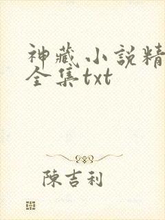 神藏小说精校版全集txt封面