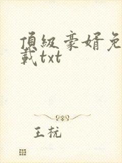 顶级豪婿免费下载txt