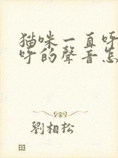 猫咪一直呼呼呼呼的声音怎么回事