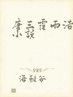 唐三霍雨浩cp小说封面