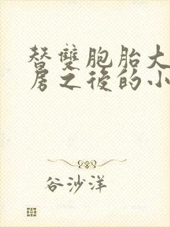 替双胞胎大哥圆房之后的小说