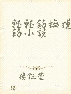 轻轻的抚摸乳房的小说