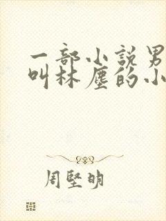 一部小说男主角叫林尘的小说