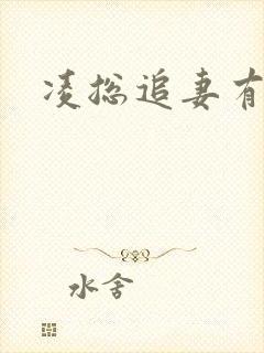 凌总追妻有点甜