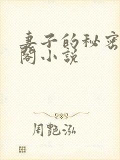 妻子的秘密笔趣阁小说