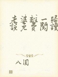 老婆离一归二小说免费阅读全文