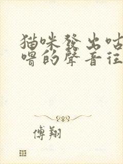 猫咪发出咕噜咕噜的声音往你身上蹭