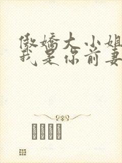 傲娇大小姐总裁我是你前妻