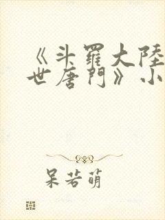 《斗罗大陆2绝世唐门》小说