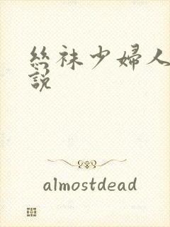 丝袜少妇人妻小说