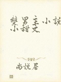 双男主小说推荐小甜文封面