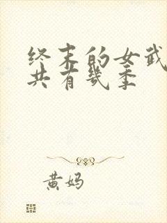 终末的女武神一共有几季