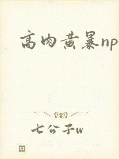 高肉黄暴np文