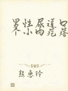 男性尿道口内长个小肉疙瘩是怎么回事