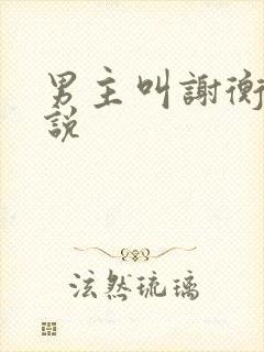 男主叫谢衡的小说