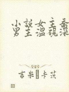 小说女主乔予安男主温砚深