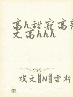 高h甜宠高辣宠文高hhh