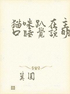 猫咪趴在主人胸口睡觉说明什么