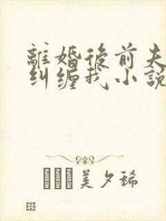 离婚后前夫总想纠缠我小说