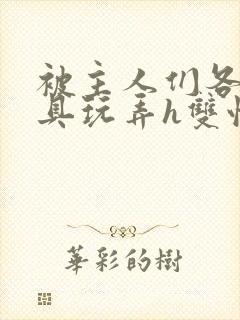 被主人们各种玩具玩弄h双性