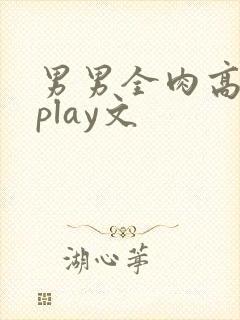 男男全肉高h湿play文