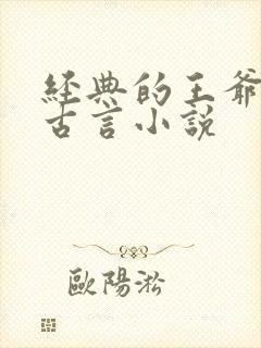 经典的王爷王妃古言小说封面