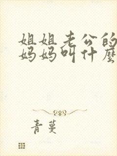 姐姐老公的爸爸妈妈叫什么封面