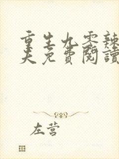 重生九零辣妻追夫免费阅读封面