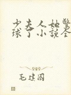 少夫人她惊艳全球了小说全文免费阅读