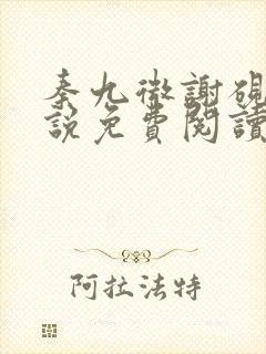 秦九微谢砚礼小说免费阅读全文封面