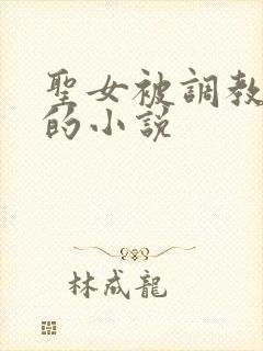 圣女被调教灌肠的小说封面